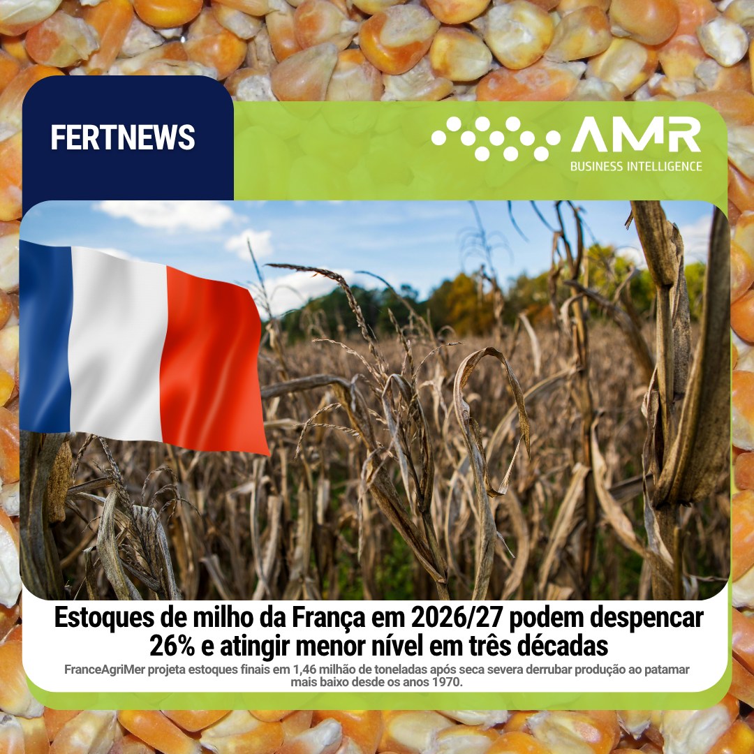 Capa da postagem Estoques de milho da França em 2026/27 podem despencar 26% e atingir menor nível em três décadas