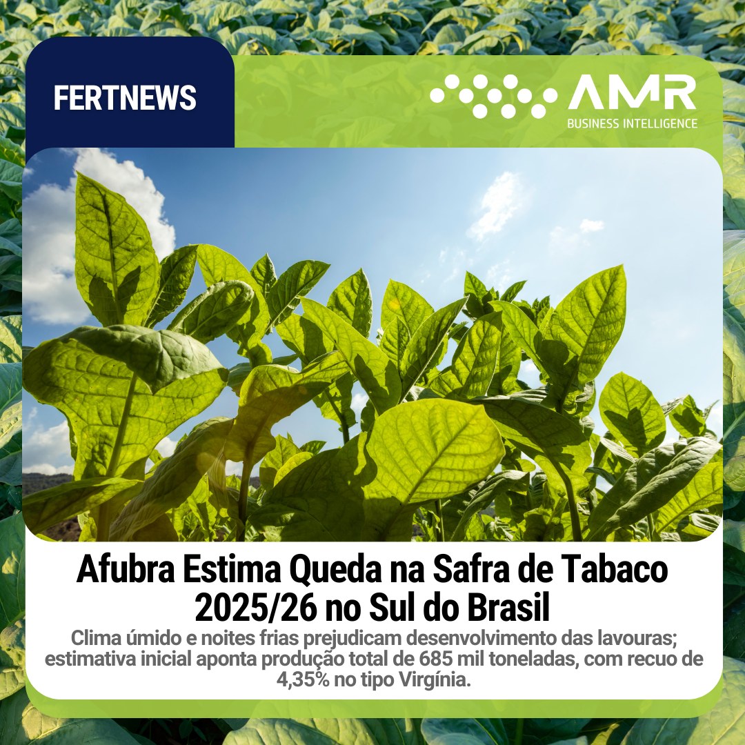 Capa da postagem Afubra Estima Queda na Safra de Tabaco 2025/26 no Sul do Brasil