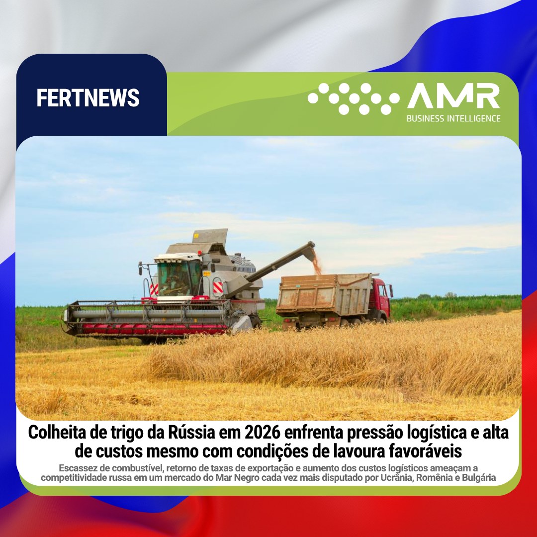 Capa da postagem Colheita de trigo da Rússia em 2026 enfrenta pressão logística e alta de custos mesmo com condições de lavoura favoráveis
