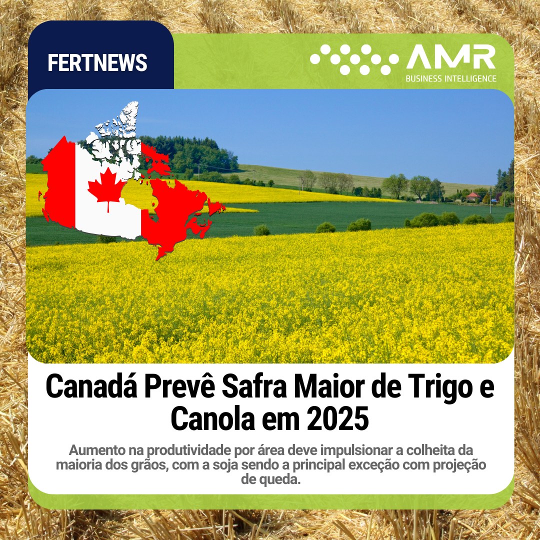 Capa da postagem Canadá Prevê Safra Maior de Trigo e Canola em 2025