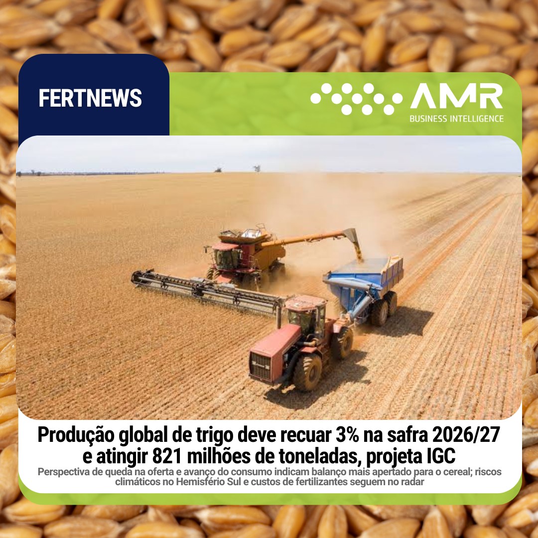 Capa da postagem Produção global de trigo deve recuar 3% na safra 2026/27 e atingir 821 milhões de toneladas, projeta IGC