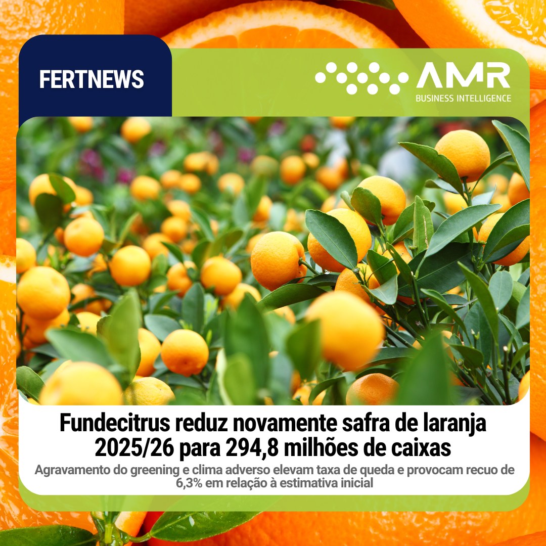 Capa da postagem Fundecitrus reduz novamente safra de laranja 2025/26 para 294,8 milhões de caixas