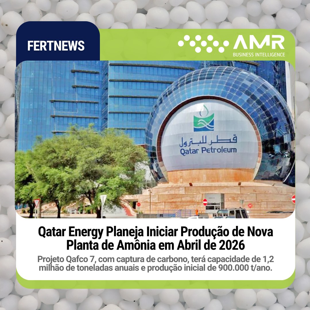 Capa da postagem Qatar Energy Planeja Iniciar Produção de Nova Planta de Amônia em Abril de 2026