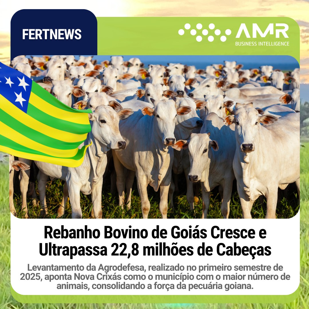Capa da postagem Rebanho Bovino de Goiás Cresce e Ultrapassa 22,8 milhões de Cabeças