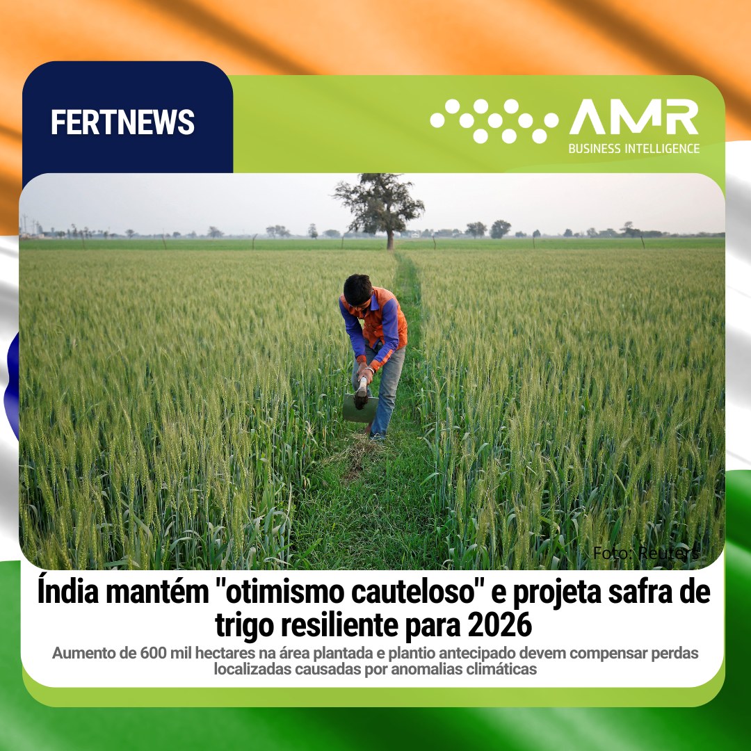 Capa da postagem Índia mantém "otimismo cauteloso" e projeta safra de trigo resiliente para 2026
