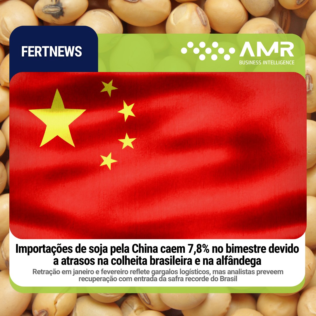 Capa da postagem Importações de soja pela China caem 7,8% no bimestre devido a atrasos na colheita brasileira e na alfândega