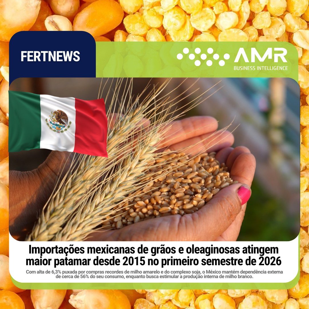 Capa da postagem Importações mexicanas de grãos e oleaginosas atingem maior patamar desde 2015 no primeiro semestre de 2026