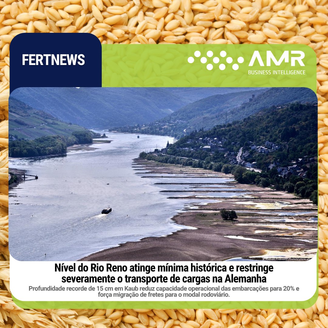 Capa da postagem Nível do Rio Reno atinge mínima histórica e restringe severamente o transporte de cargas na Alemanha