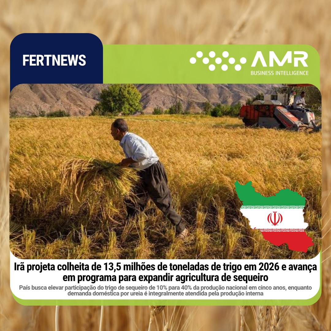Capa da postagem Irã projeta colheita de 13,5 milhões de toneladas de trigo em 2026 e avança em programa para expandir agricultura de sequeiro