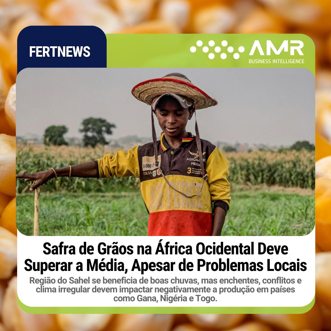 Capa da postagem Safra de Grãos na África Ocidental Deve Superar a Média, Apesar de Problemas Locais