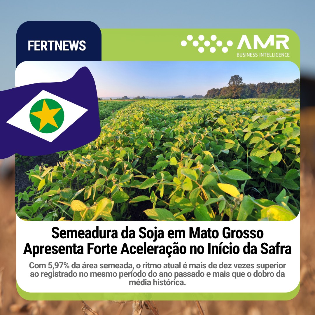 Capa da postagem Semeadura da Soja em Mato Grosso Apresenta Forte Aceleração no Início da Safra