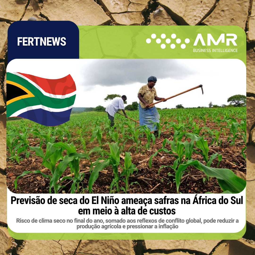 Capa da postagem Previsão de seca do El Niño ameaça safras na África do Sul em meio à alta de custos
