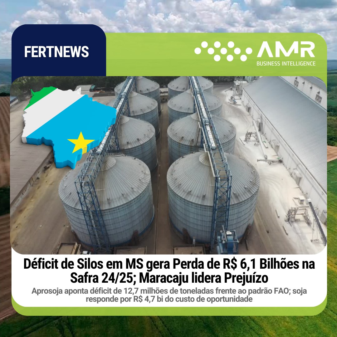 Capa da postagem Déficit de silos em MS gera perda de R$ 6,1 bilhões na safra 24/25; Maracaju lidera prejuízo