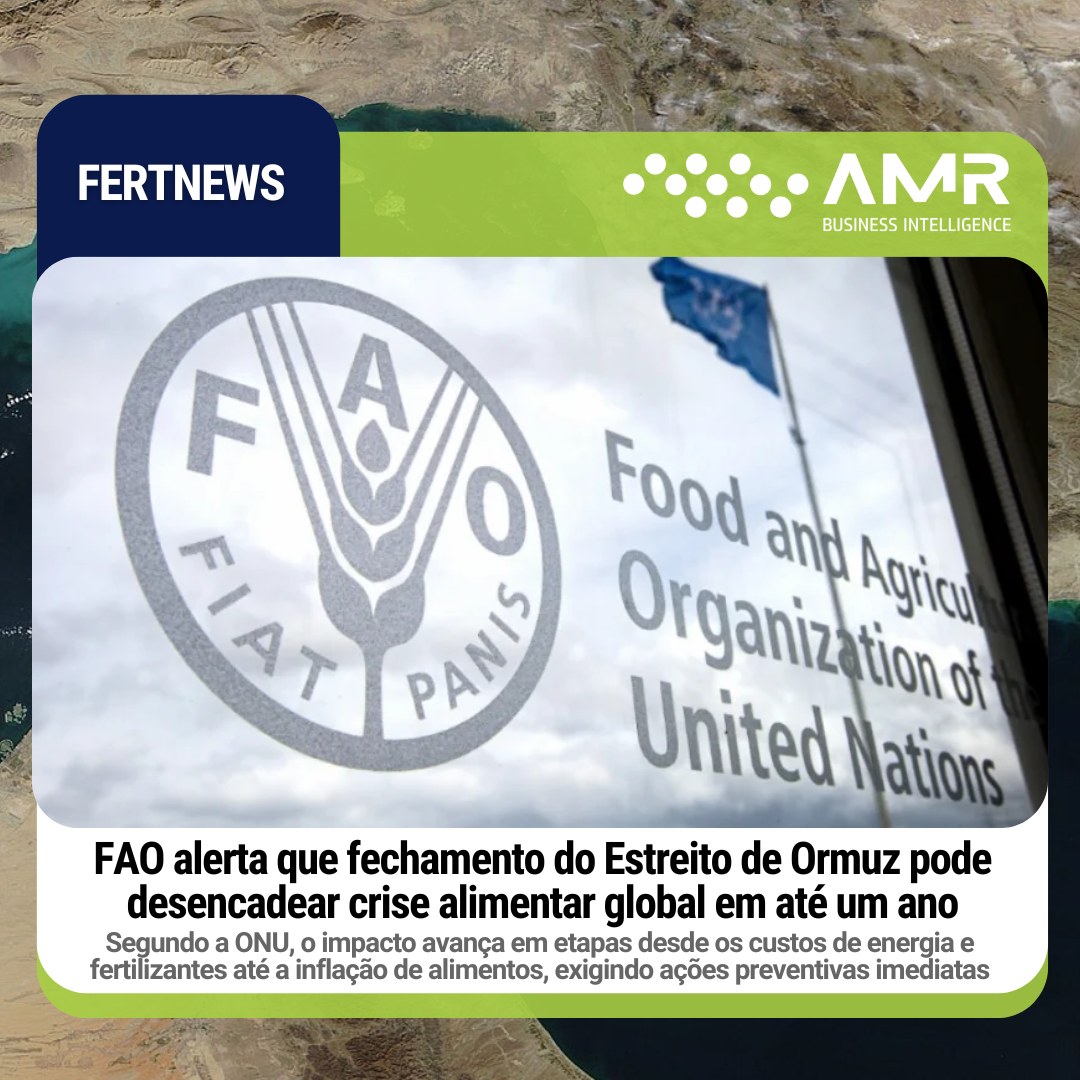 Capa da postagem FAO alerta que fechamento do Estreito de Ormuz pode desencadear crise alimentar global em até um ano