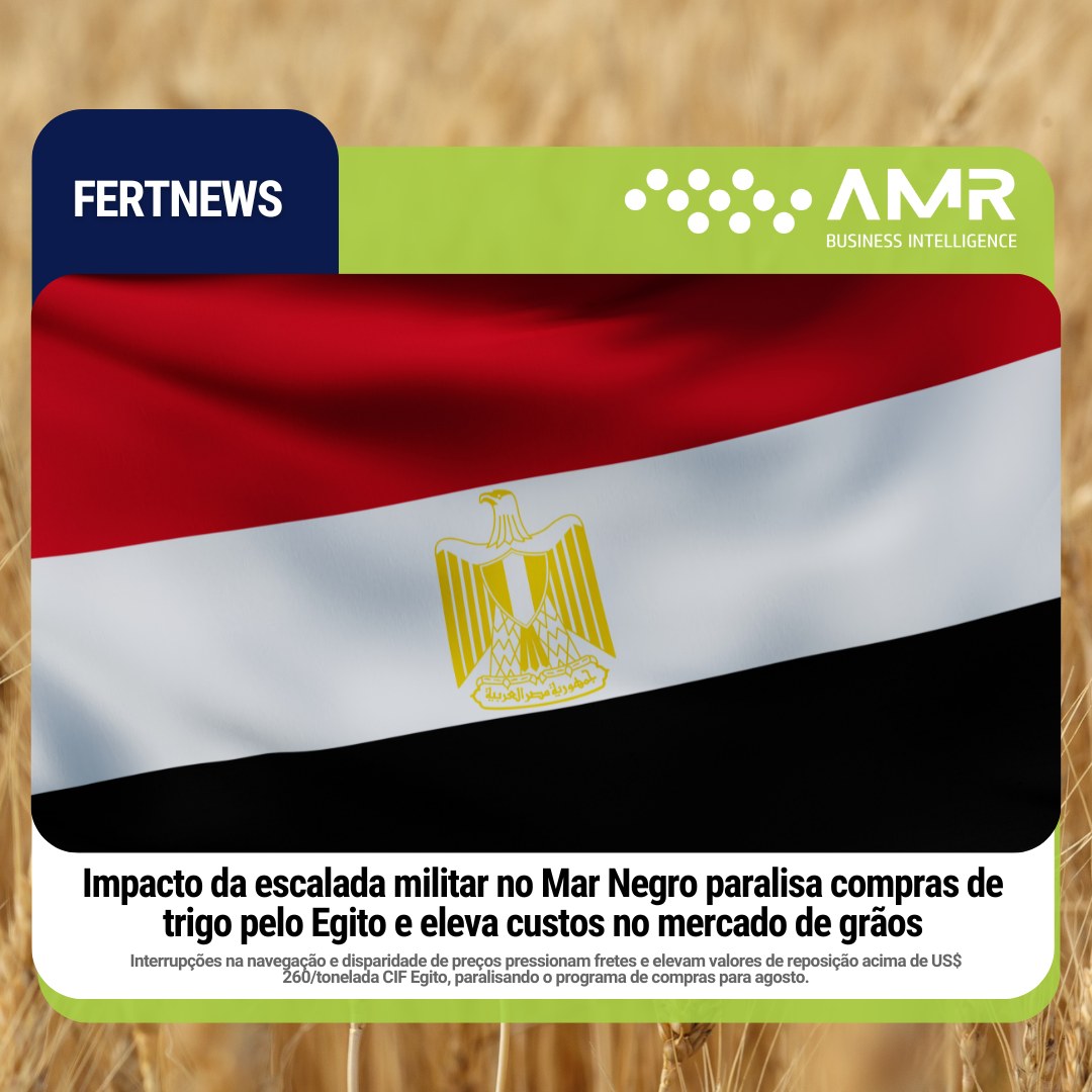 Capa da postagem Impacto da escalada militar no Mar Negro paralisa compras de trigo pelo Egito e eleva custos no mercado de grãos