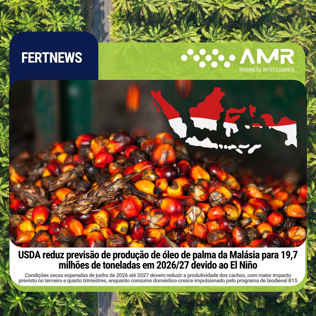 Capa da postagem USDA reduz previsão de produção de óleo de palma da Malásia para 19,7 milhões de toneladas em 2026/27 devido ao El Niño