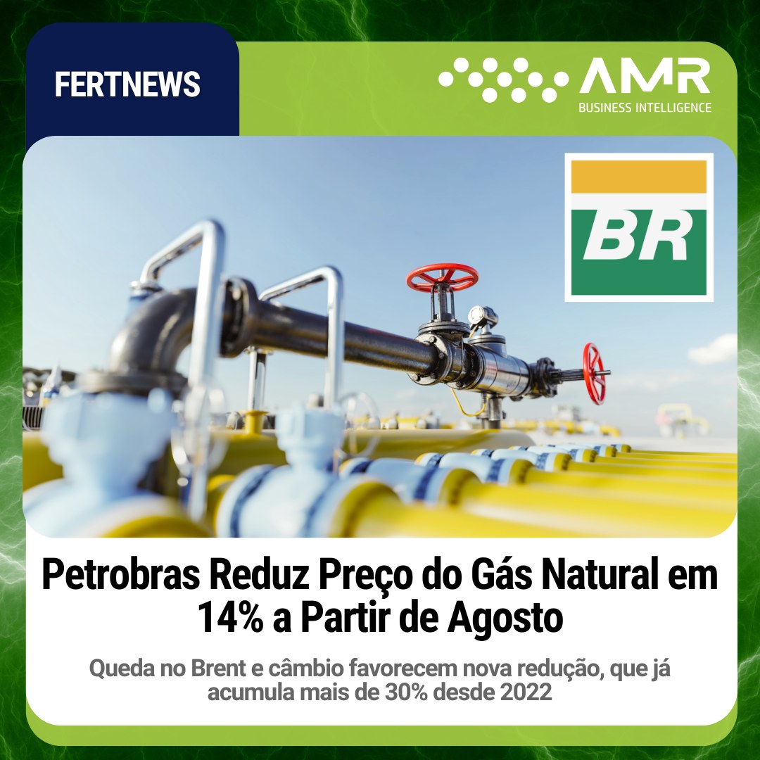 Capa da postagem Petrobras reduz preço do gás natural em 14% a partir de agosto