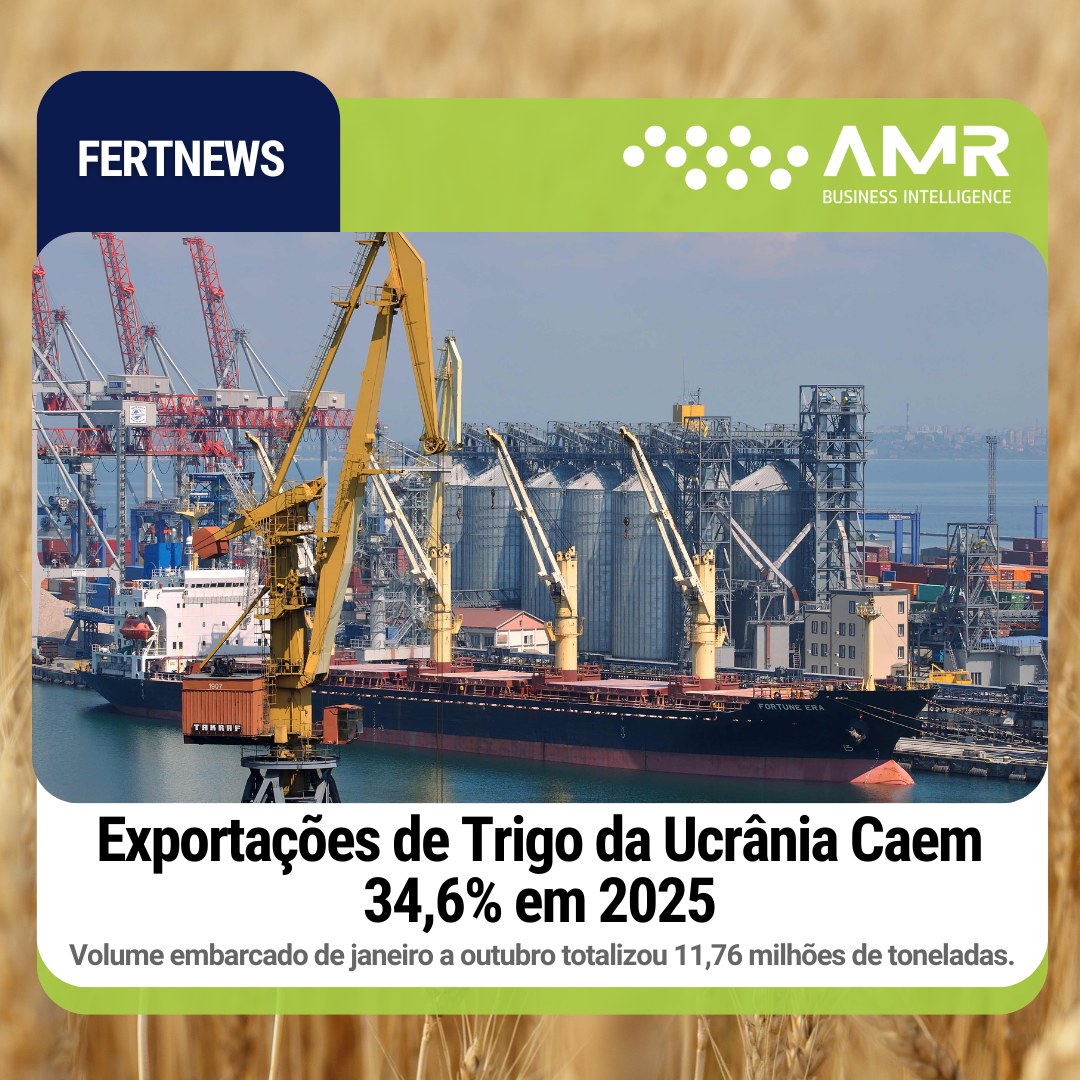 Capa da postagem Exportações de Trigo da Ucrânia Caem 34,6% em 2025