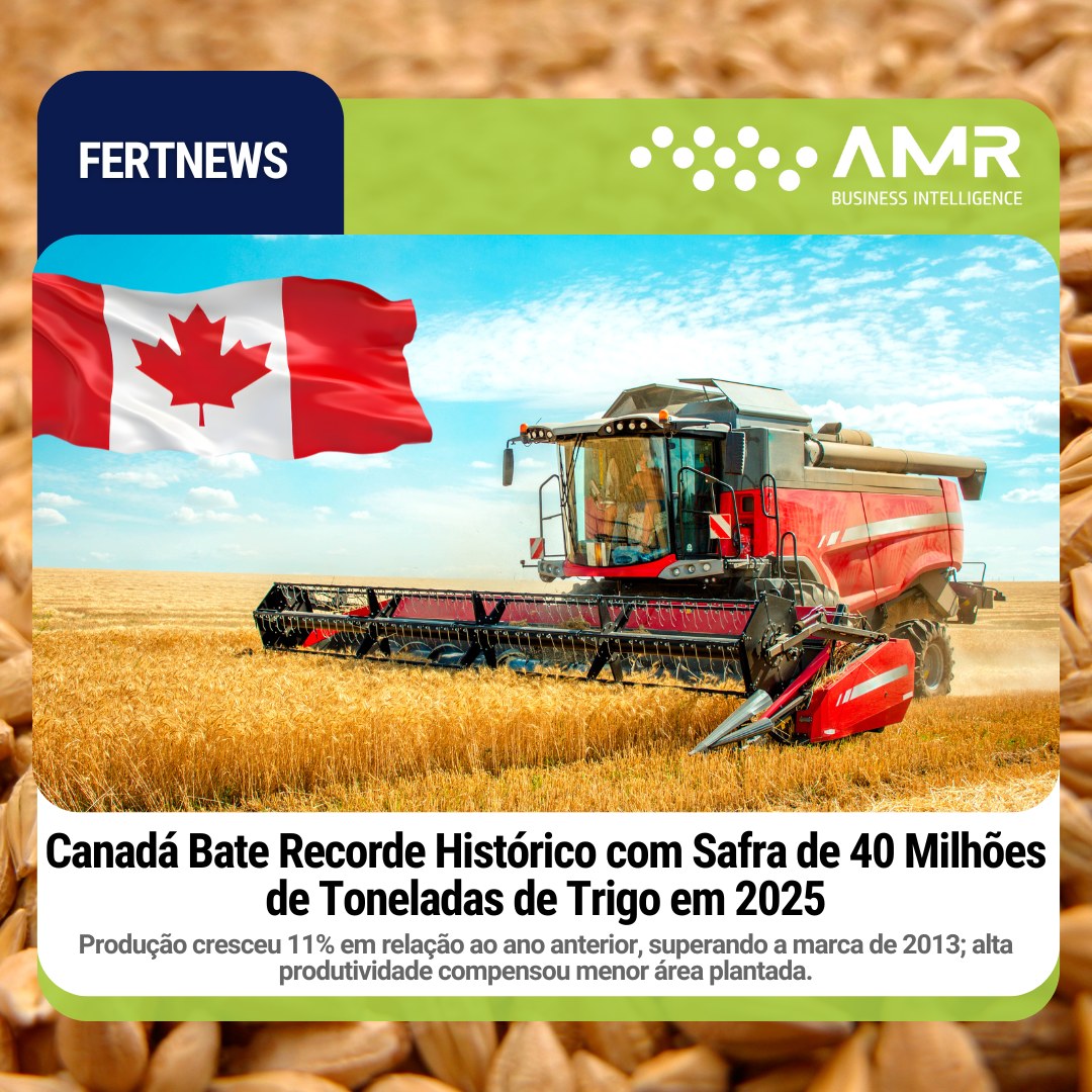 Capa da postagem Canadá Bate Recorde Histórico com Safra de 40 Milhões de Toneladas de Trigo em 2025