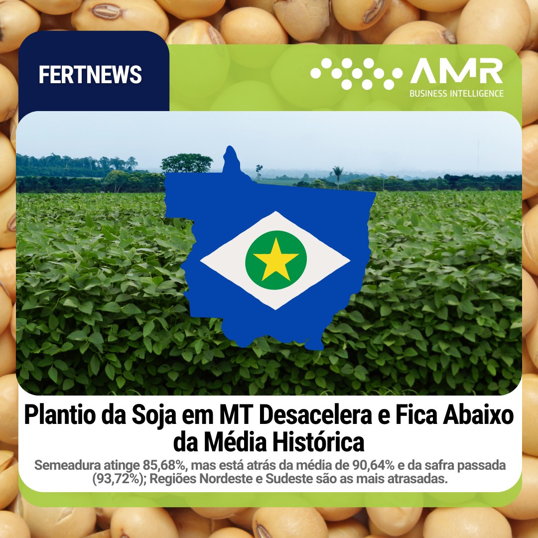 Capa da postagem Plantio da Soja em MT Desacelera e Fica Abaixo da Média Histórica