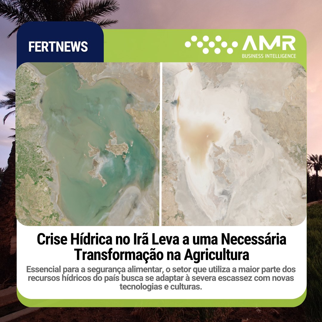 Capa da postagem Crise Hídrica no Irã Leva a uma Necessária Transformação na Agricultura
