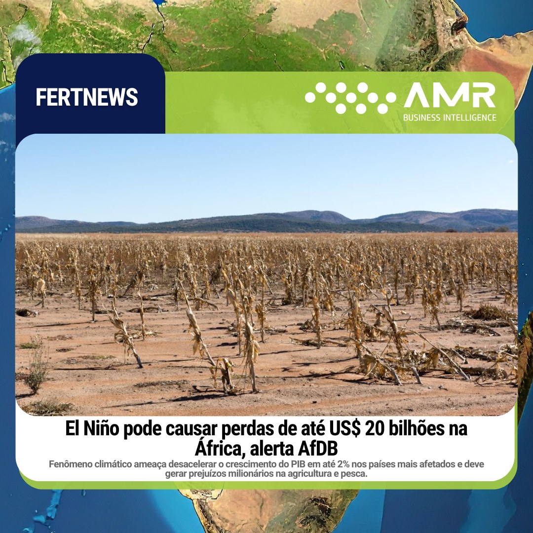 Capa da postagem El Niño pode causar perdas de até US$ 20 bilhões na África, alerta AfDB