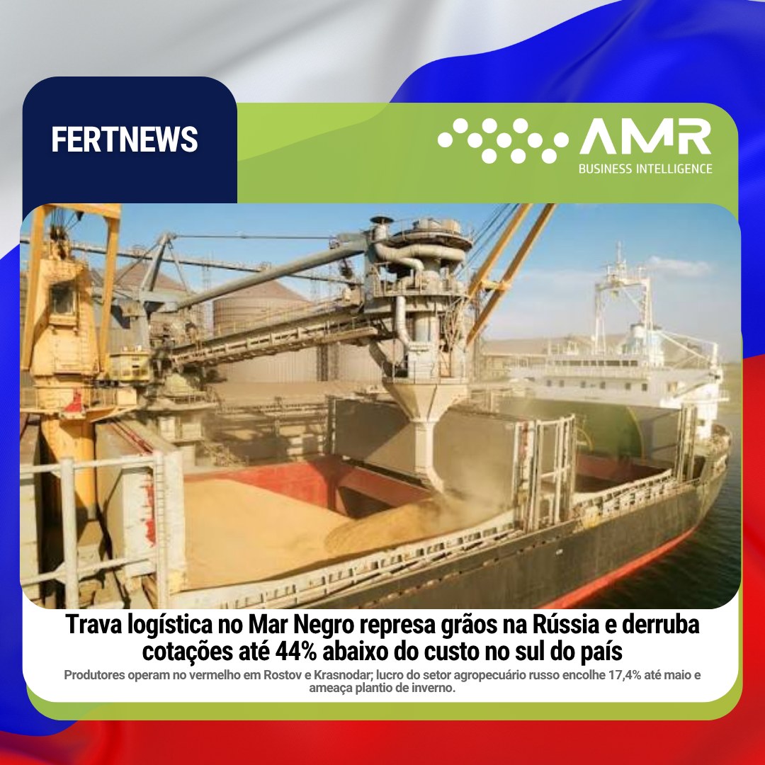 Capa da postagem Trava logística no Mar Negro represa grãos na Rússia e derruba cotações até 44% abaixo do custo no sul do país