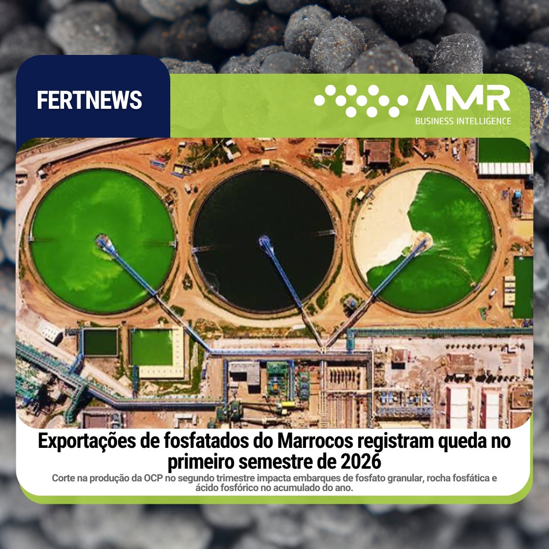 Capa da postagem Exportações de fosfatados do Marrocos registram queda no primeiro semestre de 2026