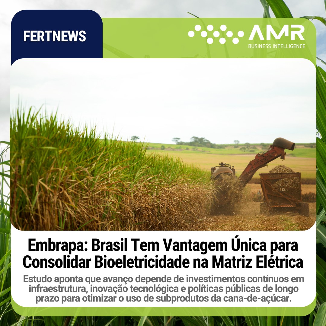 Capa da postagem Embrapa: Brasil Tem Vantagem Única para Consolidar Bioeletricidade na Matriz Elétrica