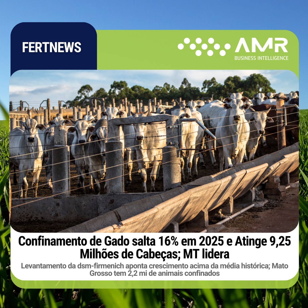 Capa da postagem Confinamento de gado salta 16% em 2025 e atinge 9,25 milhões de cabeças; MT lidera
