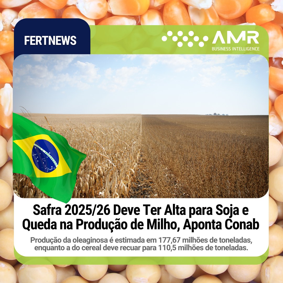 Capa da postagem Safra 2025/26 Deve Ter Alta para Soja e Queda na Produção de Milho, Aponta Conab