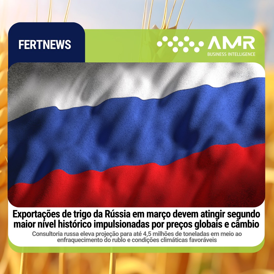 Capa da postagem Exportações de trigo da Rússia em março devem atingir segundo maior nível histórico impulsionadas por preços globais e câmbio