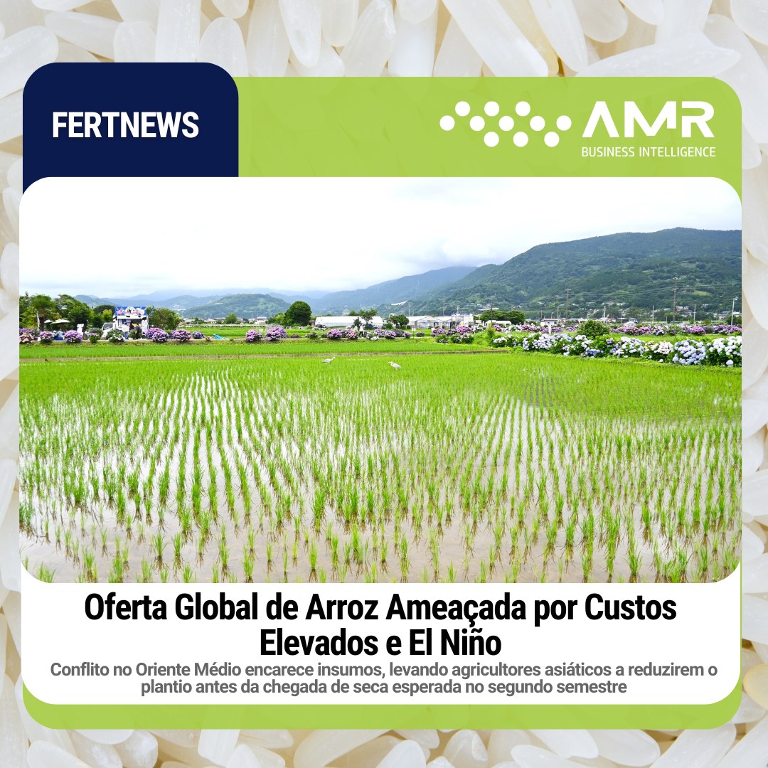 Capa da postagem Oferta Global de Arroz Ameaçada por Custos Elevados e El Niño