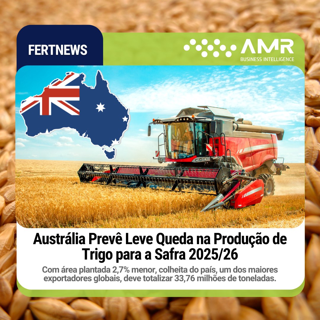 Capa da postagem Austrália Prevê Leve Queda na Produção de Trigo para a Safra 2025/26