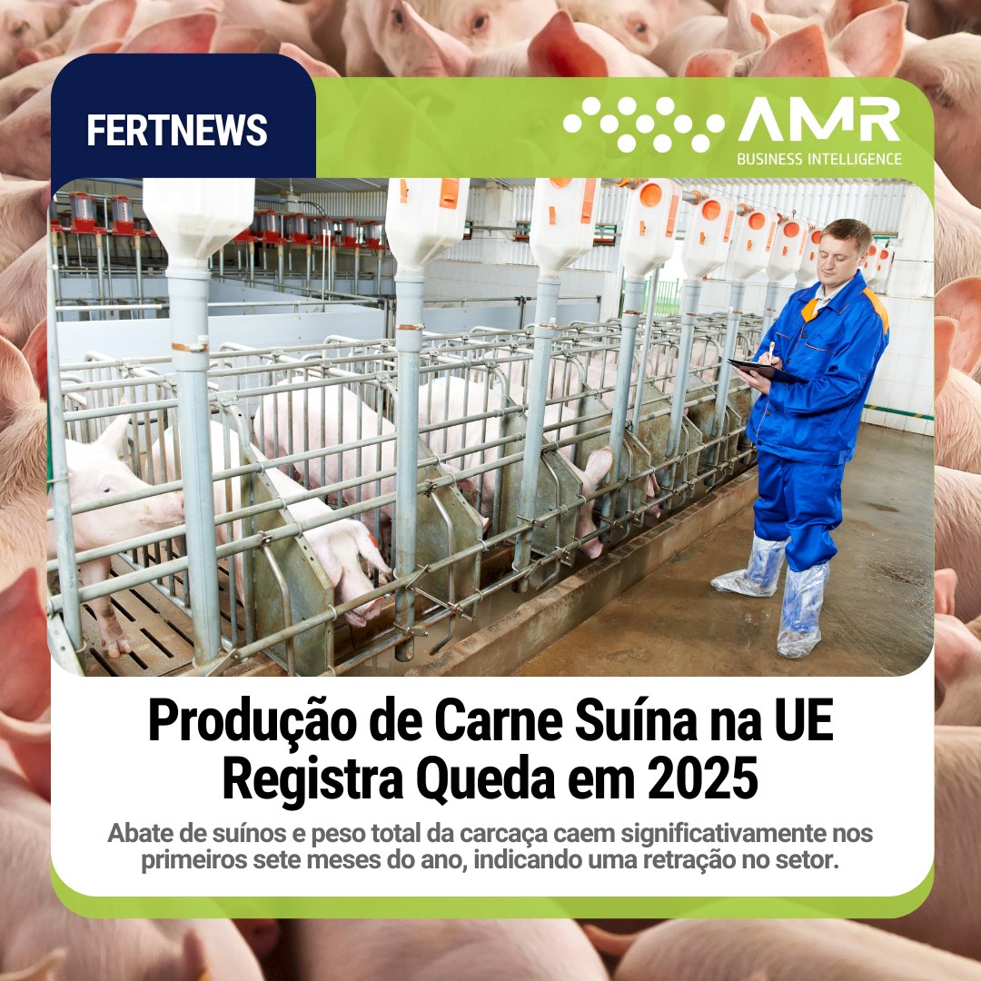 Capa da postagem Produção de Carne Suína na UE Registra Queda em 2025